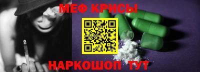 стафф Гатчина