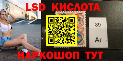 стафф Гатчина