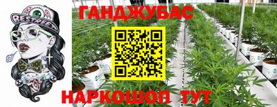 стафф Гатчина