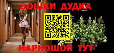 стафф Гатчина