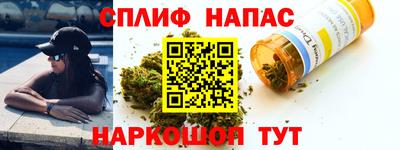 прущие грибы Гай