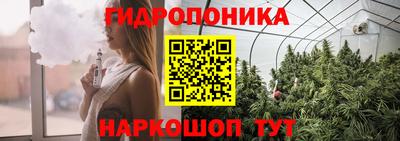 прущие грибы Гай