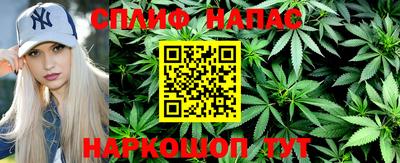 стафф Гатчина