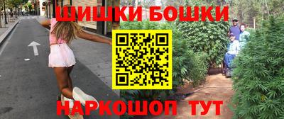 стафф Гатчина