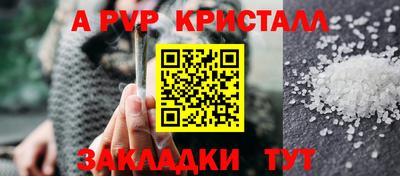 стафф Гатчина