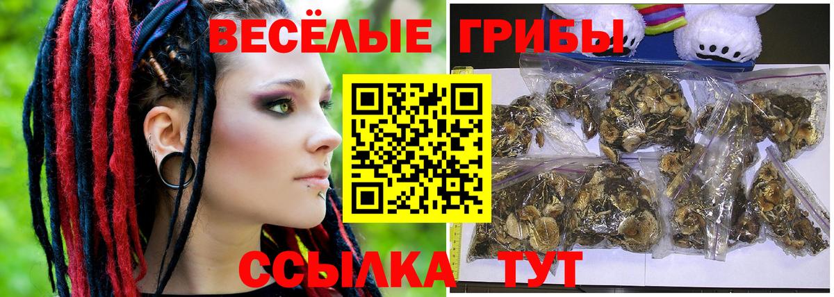 Галлюциногенные грибы прущие грибы Шелехов